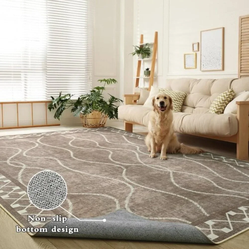 New 4x6 Washable Area Rug, Non-Slip Low Pile Carpet for Home & Room Decor